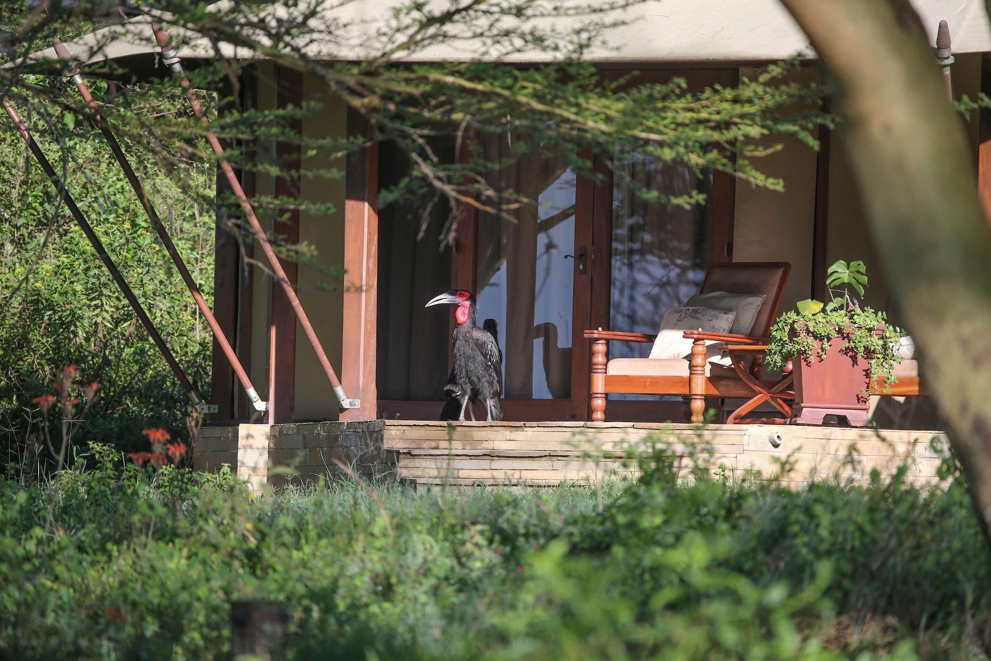 Lake Elmenteita Serena Camp Exteriör bild