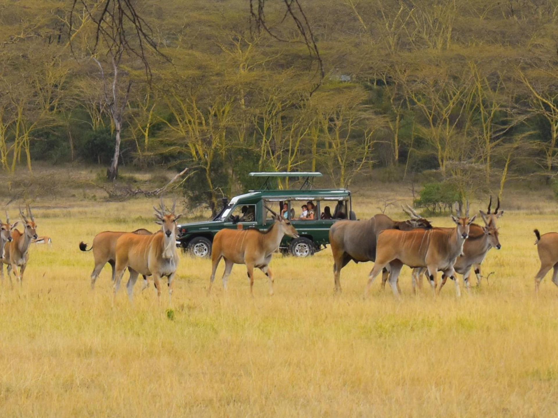 Lake Elmenteita Serena Camp Exteriör bild